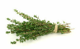 THYME THYME