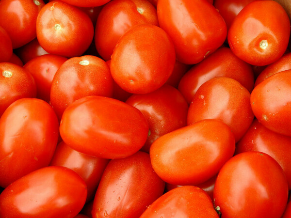 TOMATOES - ROMA TOMATOES - ROMA