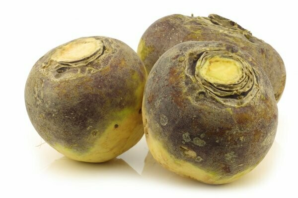 TURNIP TURNIP