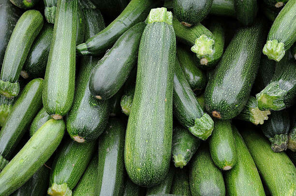 ZUCCHINI - GREEN (ONT) ZUCCHINI - GREEN (ONT)