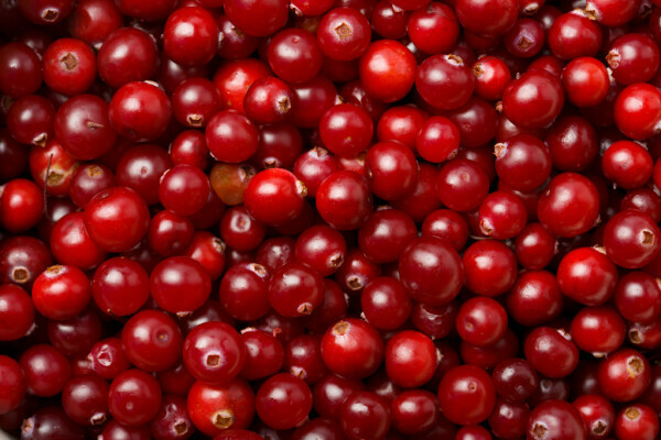 CRANBERRIES 2LB CRANBERRIES 2LB