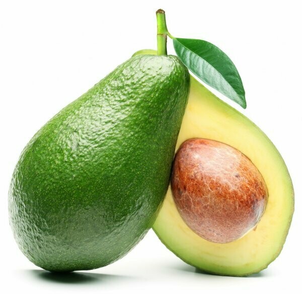 AVOCADO - ORGANIC AVOCADO - ORGANIC