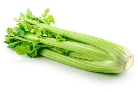 CELERY CELERY