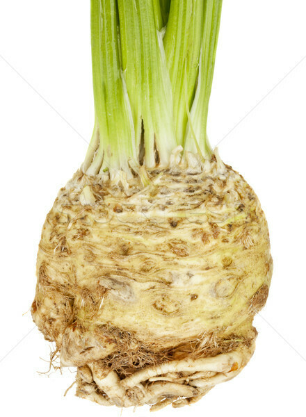 CELERIAC CELERIAC