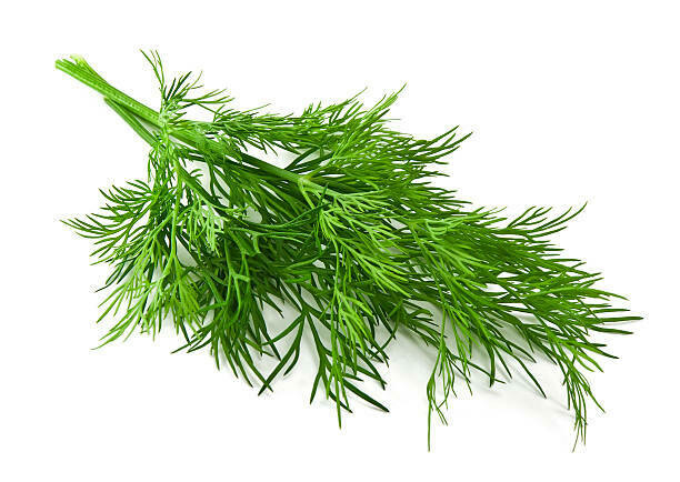 DILL DILL