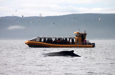 Billet Croisières Juin 2026