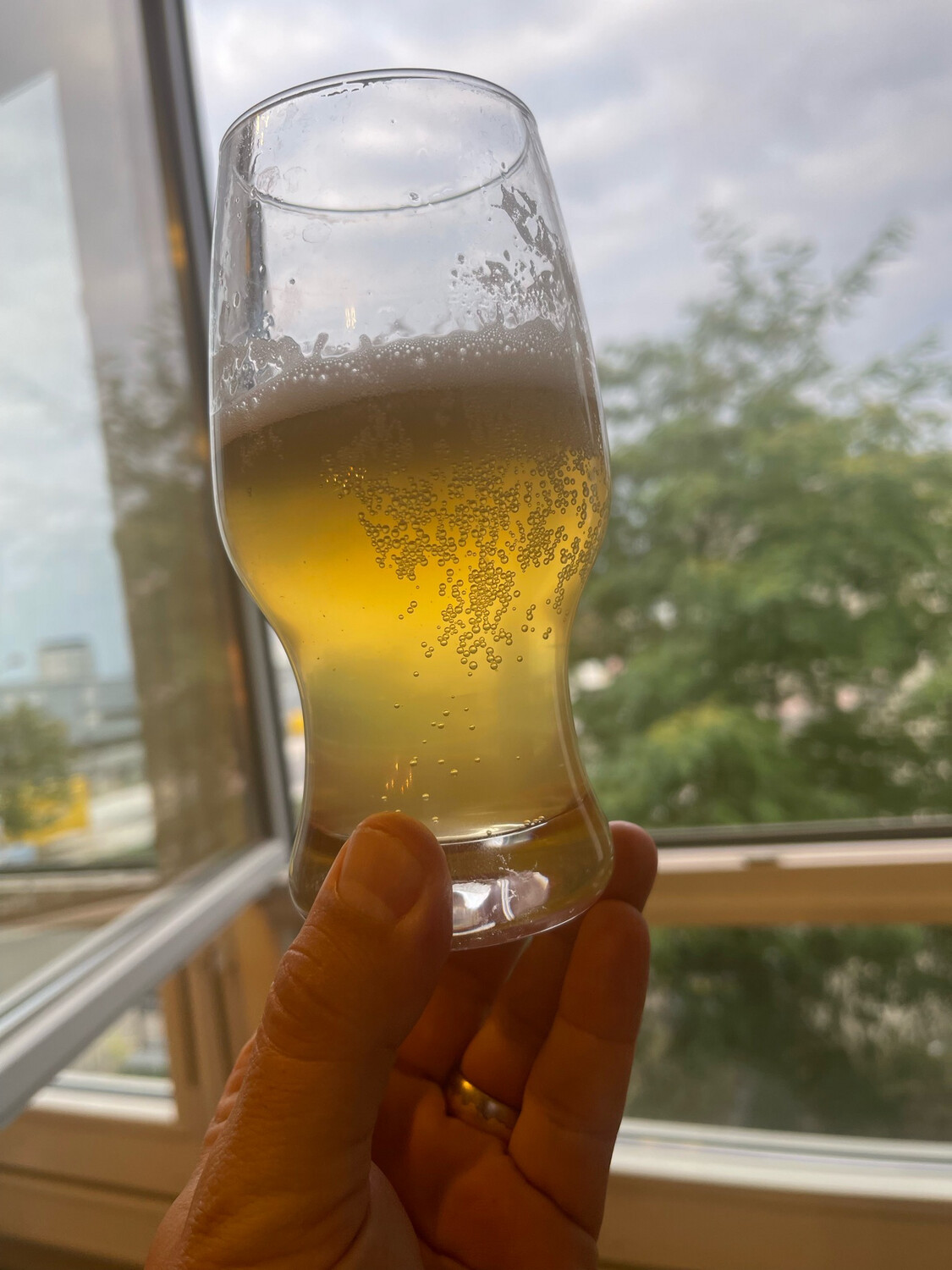 #119 Pils 4.8% #119 Pils 4.8%