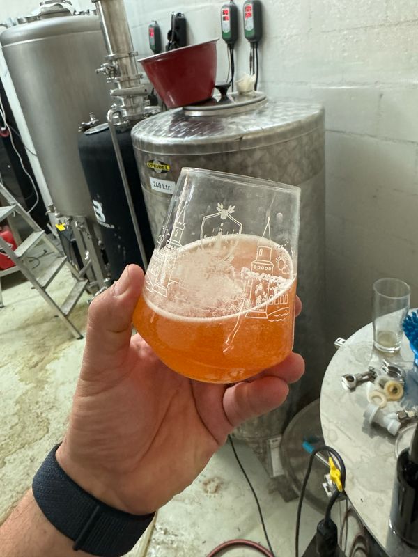 Sommer Fling #131 Kokosnuss Erdbeer Sour 6.3%