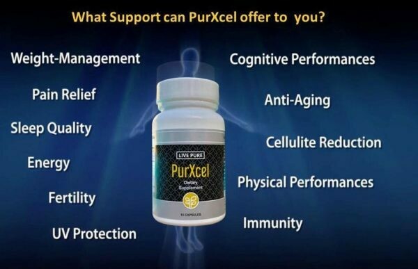 PURXCEL  [Tap to have a quick view of this product]