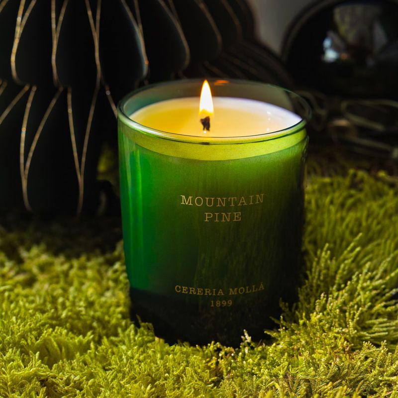 Cereria Molla 1899 - Mountain Pine geurkaars Kerst 230gr. Cereria Molla 1899 - Mountain Pine geurkaars Kerst 230gr.