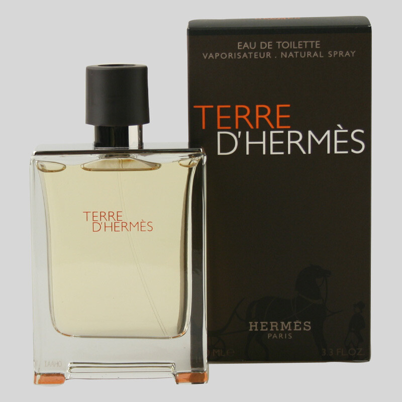 Terre D'Hermès Eau de Toilette 100ml