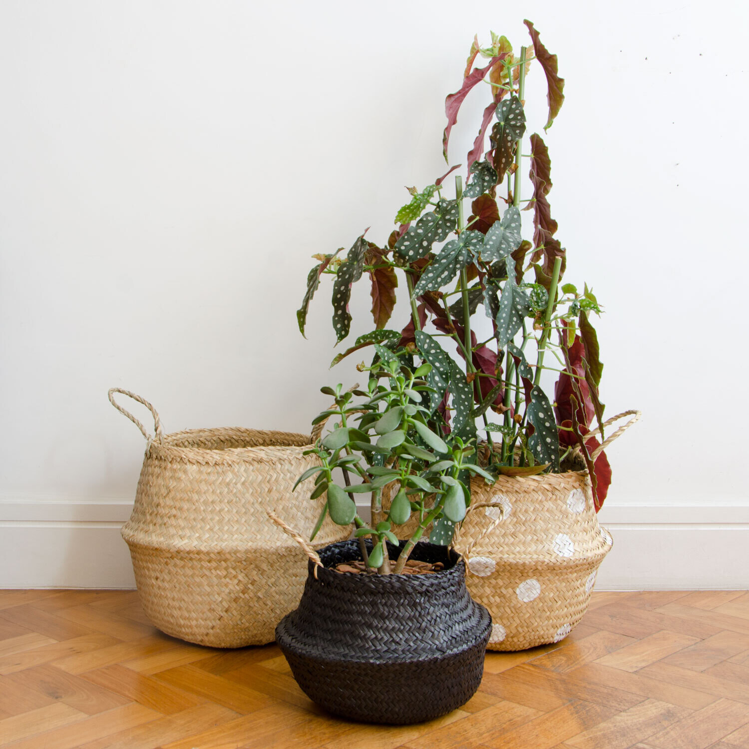 CONJUNTO CESTO DE PALHA DOBRÁVEL