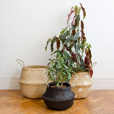 CONJUNTO CESTO DE PALHA DOBRÁVEL