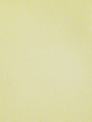 Cream Fabric 14 Plain Cream Fabric 14 Plain