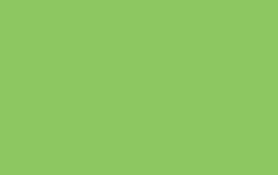 Plain Lime Green Vertical Slats