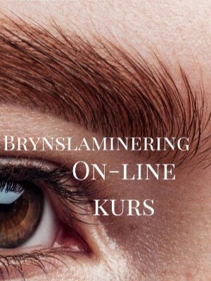 Brynslaminering on-line kurs