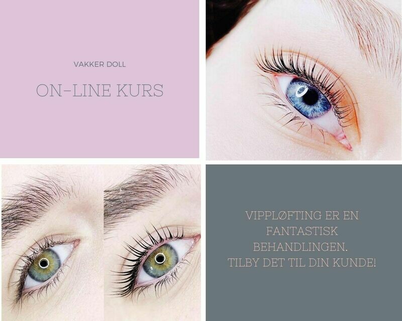Vippeløft on-line kurs