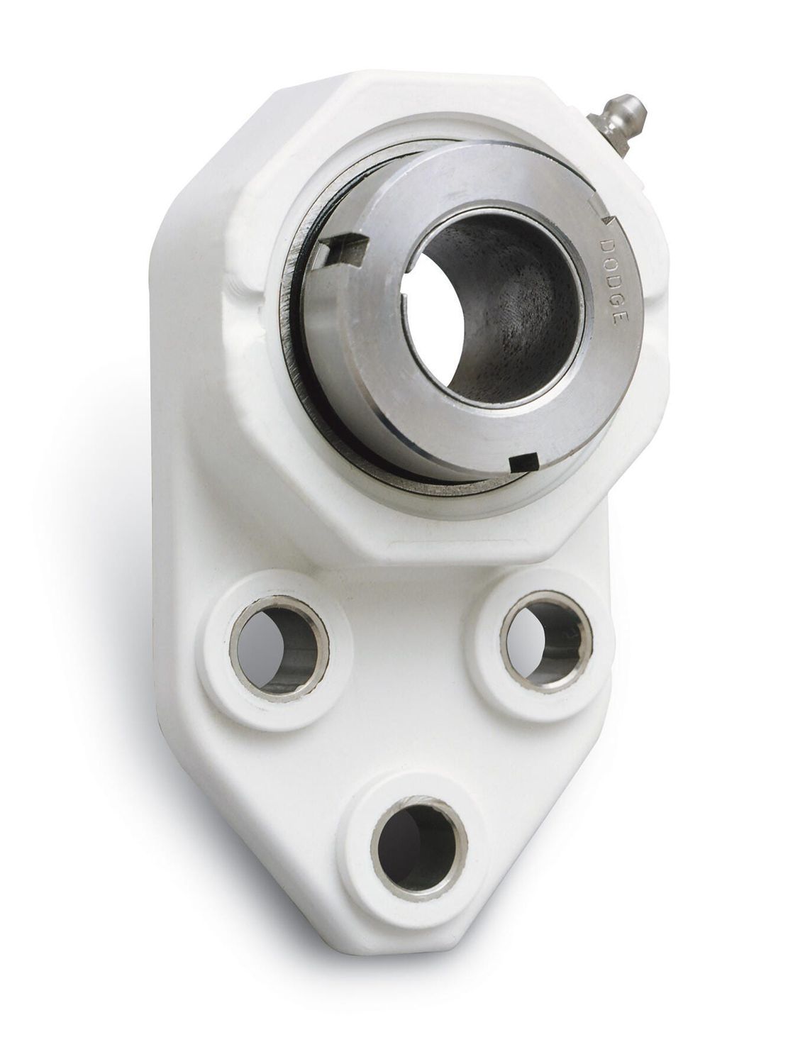 Chumacera de corbata inoxidable caja termoplastica FB-GTEZ-05-PCR (129556) () Dodge