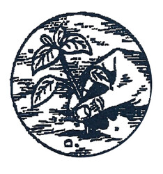 Natural Rewards Online Store