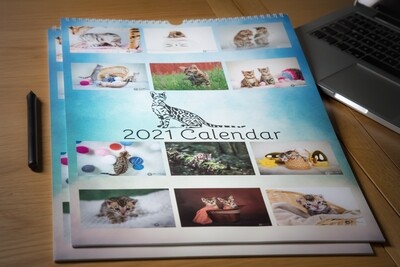 2021 Luxurious Bengal Cat Wall Calendar 2021 Luxurious Bengal Cat Wall Calendar