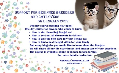 Support for beginner breeders and cat lovers course