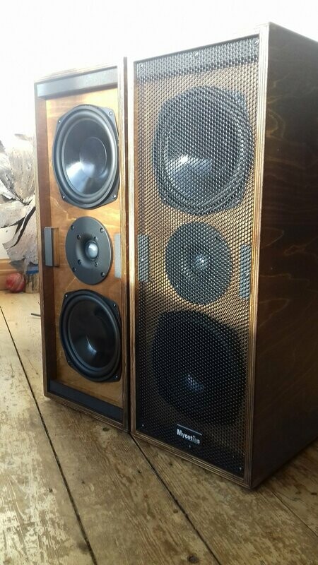 Mycetias V2's - birch plywood cabinets with 'golden oak' stain finish. (price per pair)