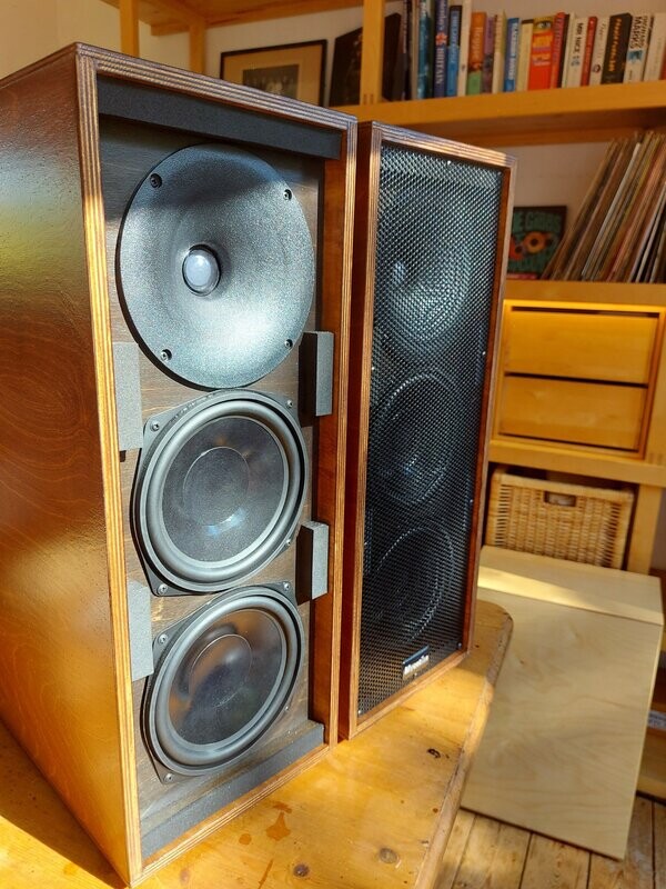 Mycetias Vulcanian's Golden oak / Black baffle (price per pair)