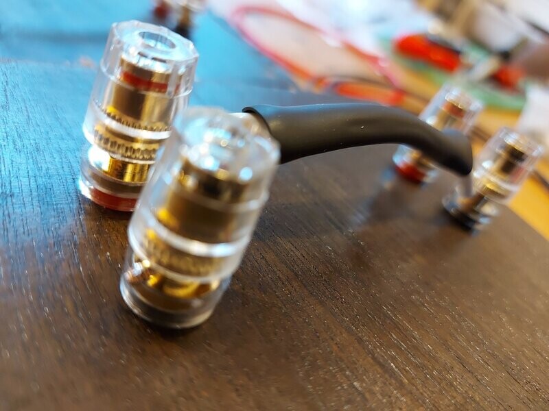 Optional Bi-wire  / Bi-amp connections for V2's & Vulcanian's