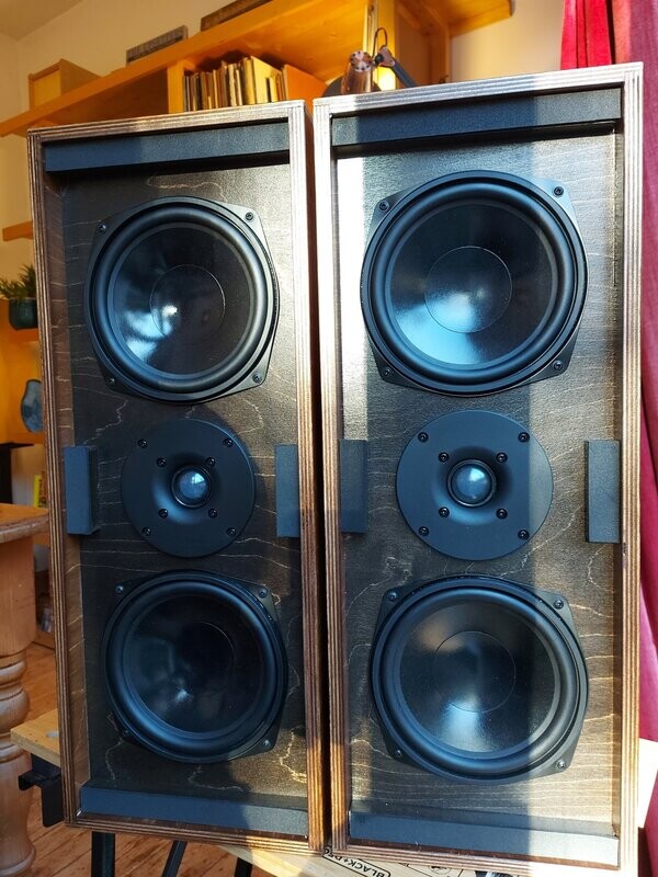 Mycetias V2's / Golden Oak / Black baffle (price per pair)