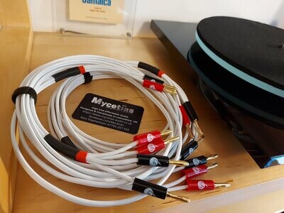 4m (Pair) Speaker cables with gold plated banana plugs each end