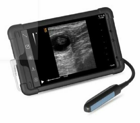 Bestscan S5 Bovine Ultrasound