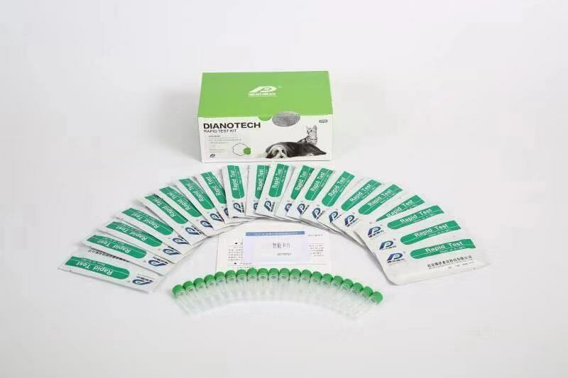 Feline Serum Amyloid A (fSAA) Rapid Test Kit