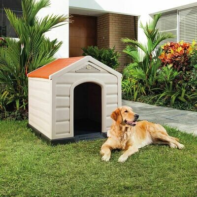 Pet Supplies