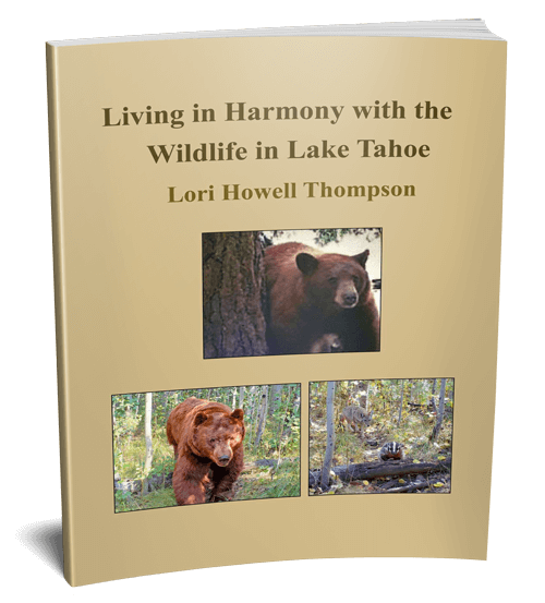 Living in Harmony with the Wildlife in Lake Tahoe