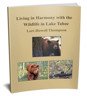 Living In Harmony With The Wildlife In Lake Tahoe