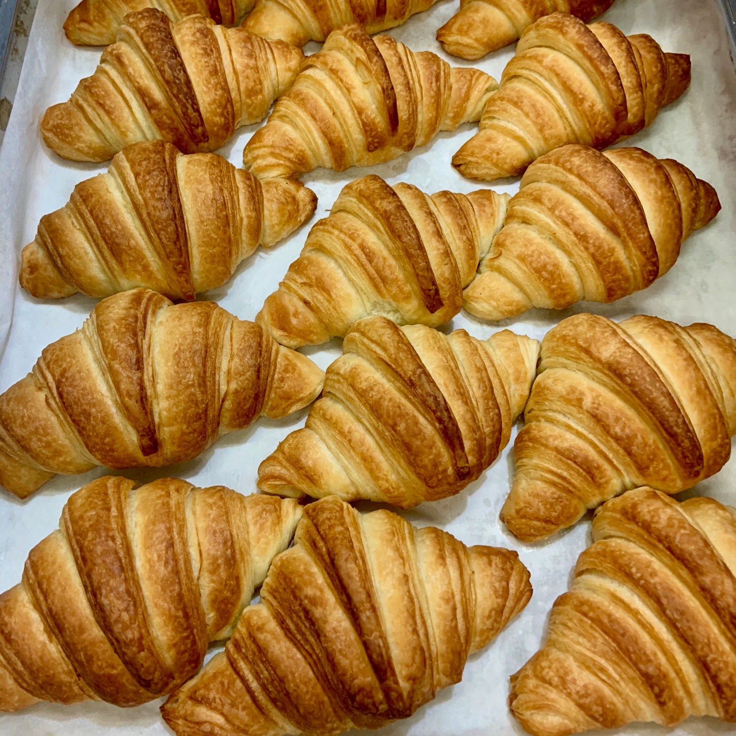 Plain Croissant