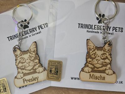 Cat Pet Magnet - Personalised