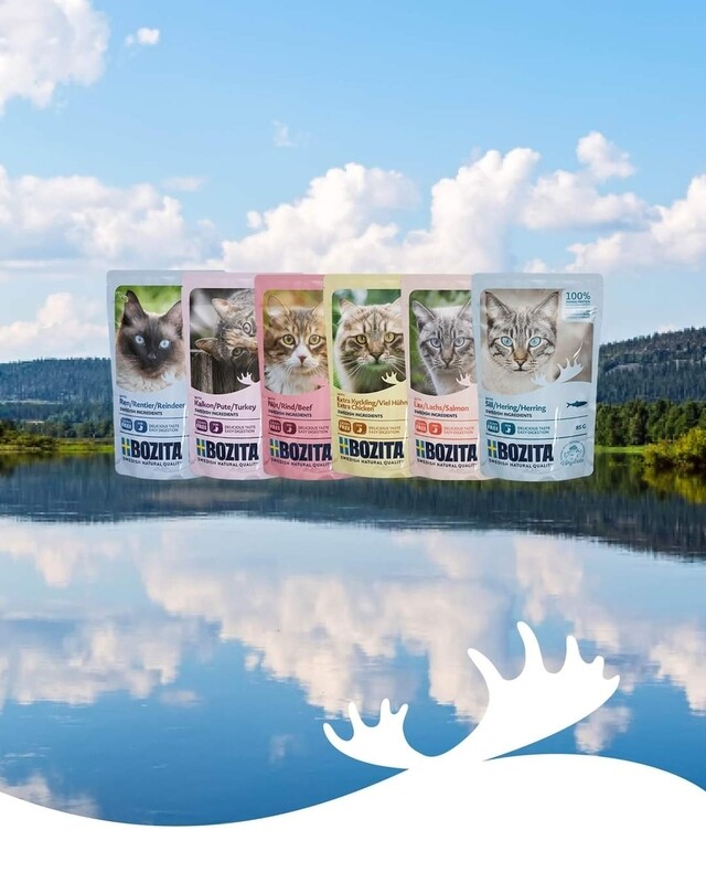 Futter Nass Beutel