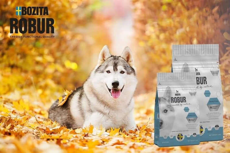Bozita Rubur Rentier
