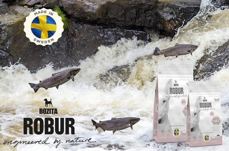 Bozita Robur Lachs Sensitiv
