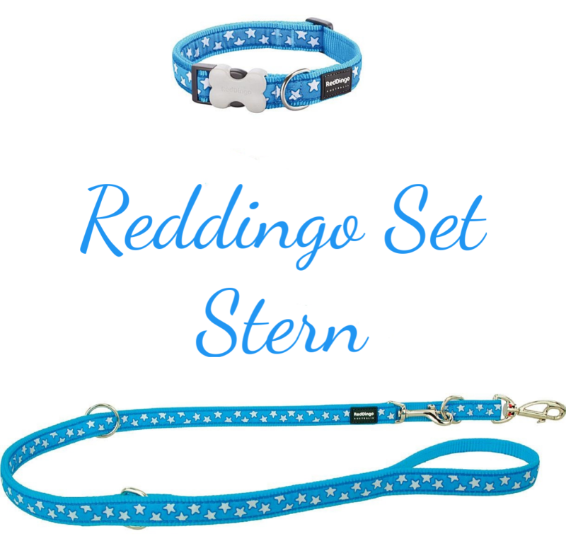 🤩SET AKTION🤩 Reddingo Set Stern (Rot oder Türkis) 