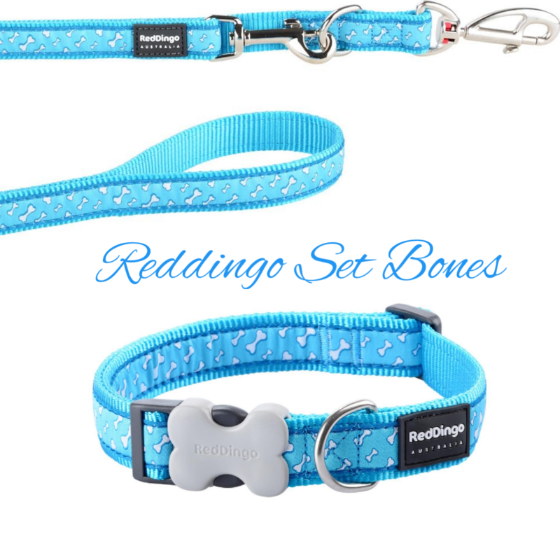🤩SET AKTION🤩 Red Dingo Set Bones (Rot oder Türkis)