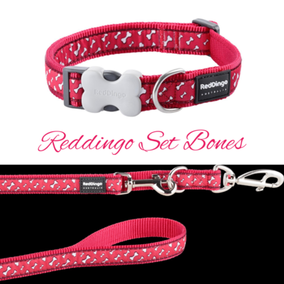 🤩SET AKTION🤩 Red Dingo Set Bones (Rot oder Türkis) 