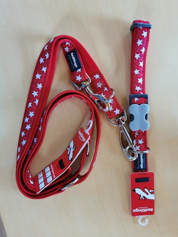 🤩SET AKTION🤩 Reddingo Set Stern (Rot oder Türkis)