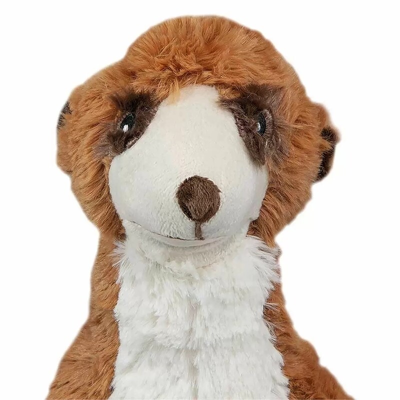 Erdmännchen