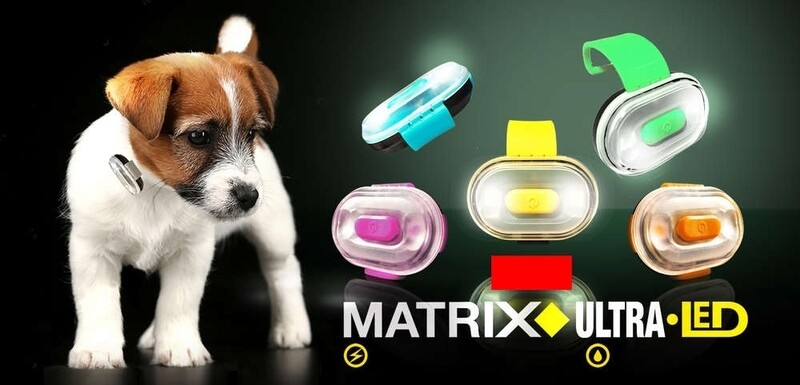 Max & Molly Matrix Ultra LED
