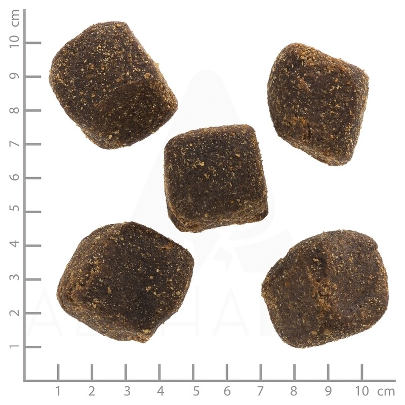 Wolfsblut Squashies Black Bird