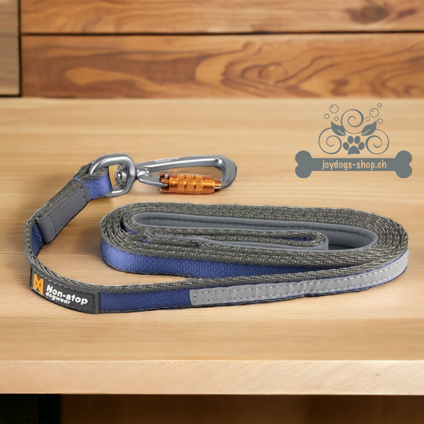 Alltagsleine Move Leash