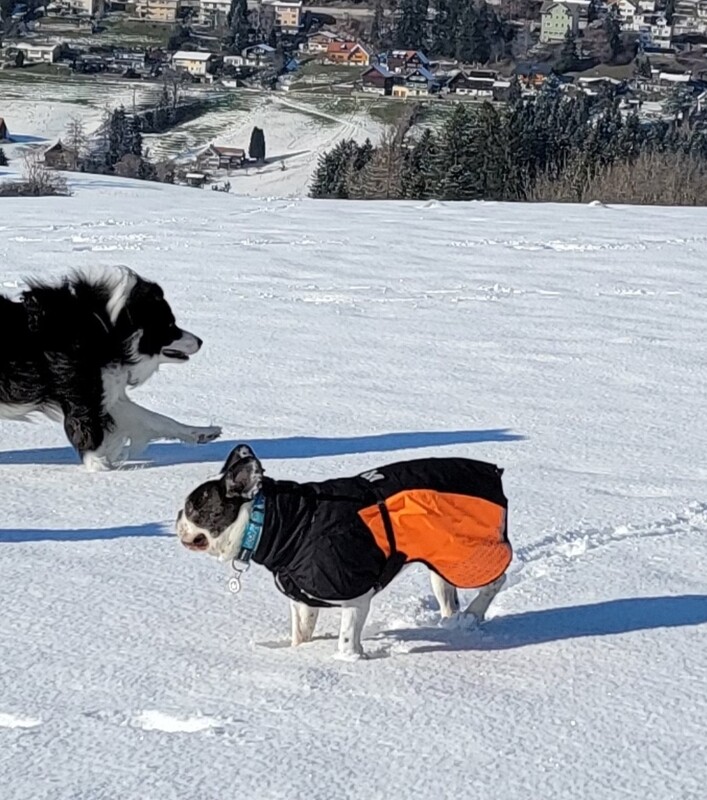 Nonstop Dogwear Glacier Jacket 2.0