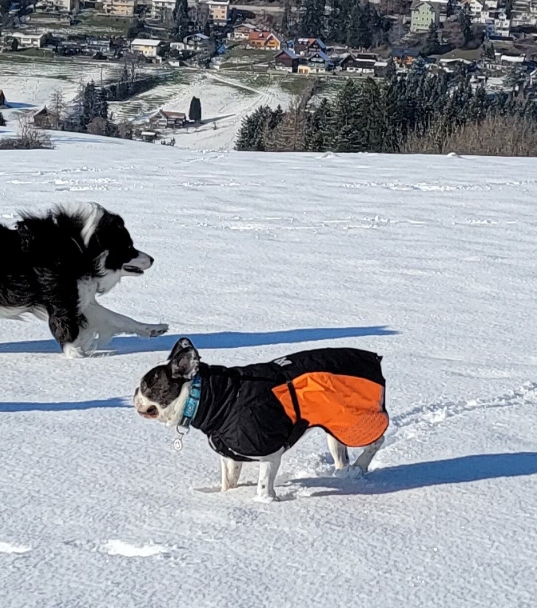 Nonstop Dogwear Glacier Jacket 2.0